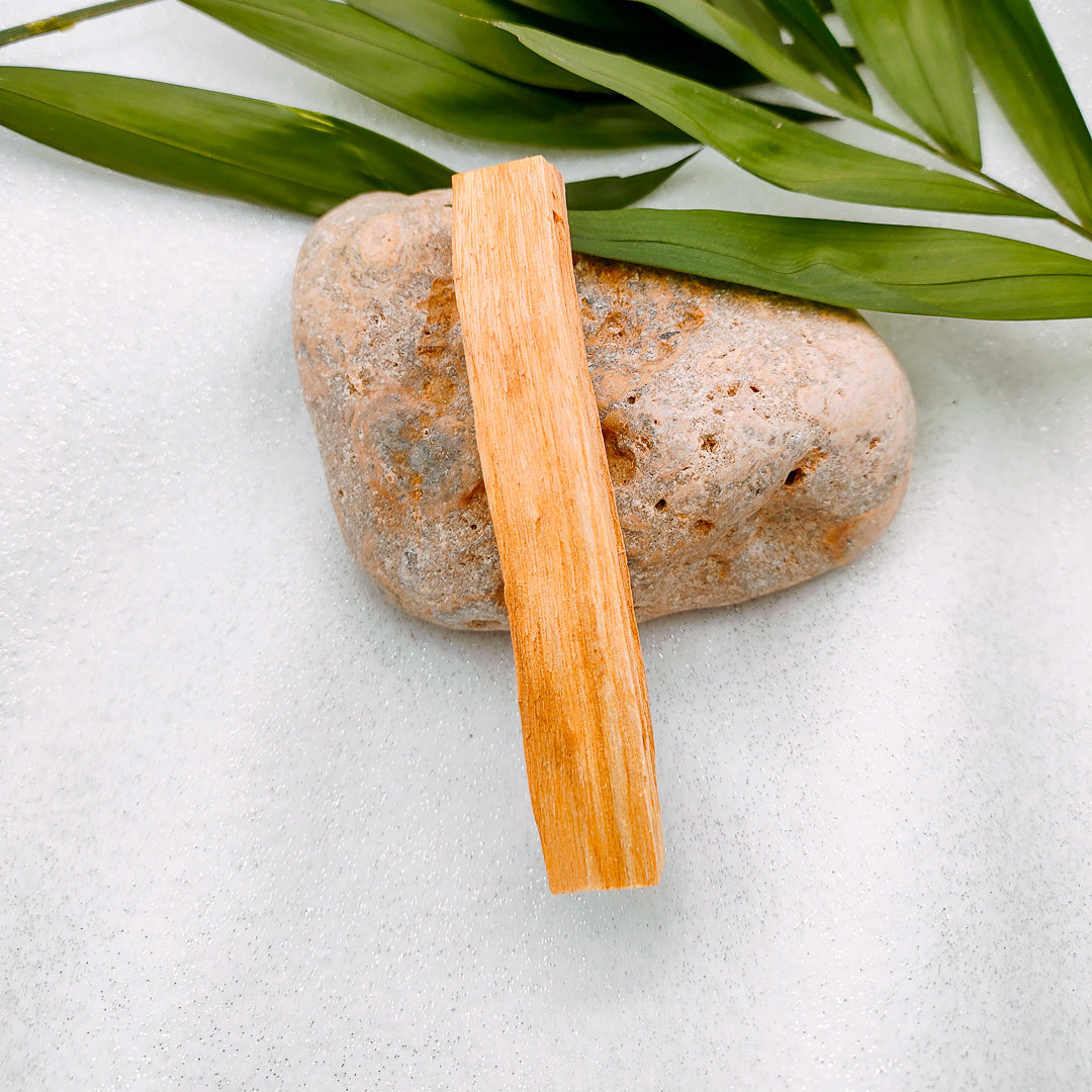 Palo Santo Palosanto